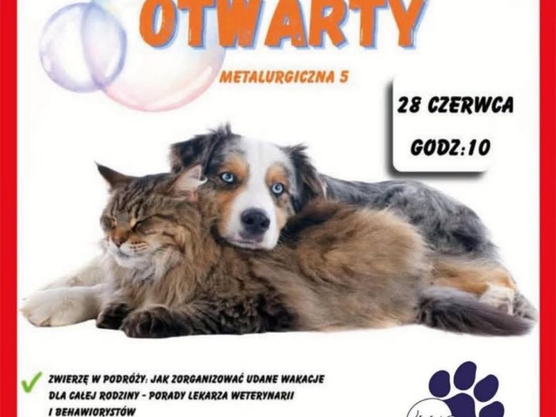 Dzień Otwarty w Schronisku!