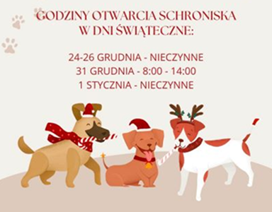 GODZINY OTWARCIA SCHRONISKA  W OKRESIE ŚWIĄTECZNYM!