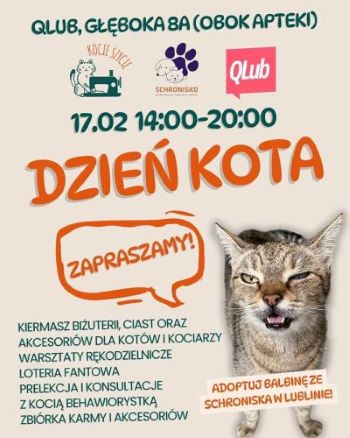 DZIEŃ KOTA W QLUBIE – 17.02.2026, GODZ. 14:00-20:00