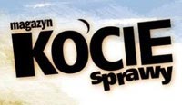 Kocie sprawy