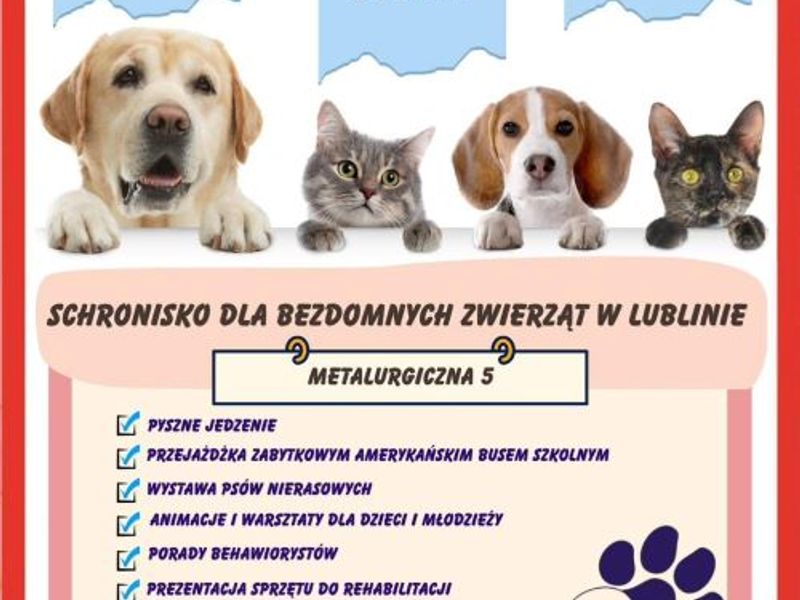 Dzień Otwarty w Schronisku – 29 marca godz. 11:00