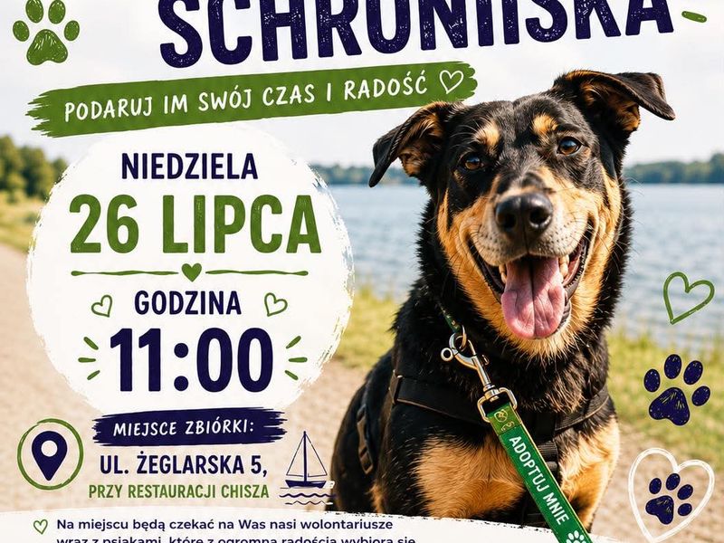 Spacer z psami ze Schroniska, niedziela 26.07.2026, godz. 11, Zalew Zemborzycki
